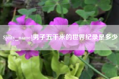 锡林郭勒盟男子五千米的世界纪录是多少