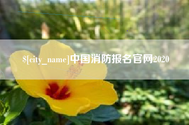 锡林郭勒盟中国消防报名官网2020