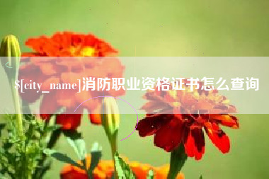 锡林郭勒盟消防职业资格证书怎么查询