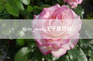 锡林郭勒盟王子豪百科