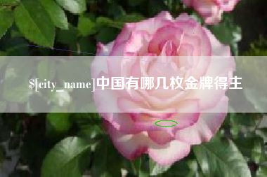 锡林郭勒盟中国有哪几枚金牌得主