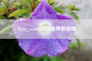 锡林郭勒盟中国金牌都是啥