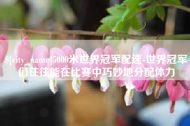 锡林郭勒盟5000米世界冠军配速-世界冠军们往往能在比赛中巧妙地分配体力