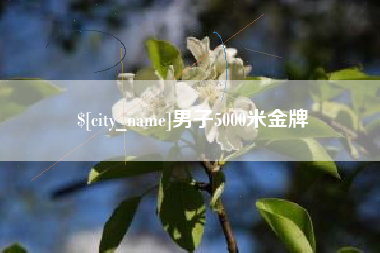 锡林郭勒盟男子5000米金牌