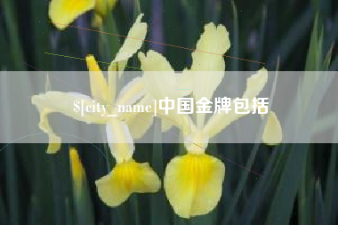 锡林郭勒盟中国金牌包括