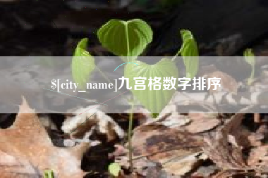 锡林郭勒盟九宫格数字排序