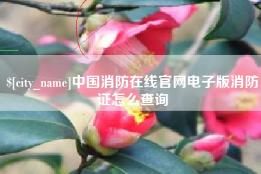 锡林郭勒盟中国消防在线官网电子版消防证怎么查询