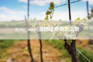 锡林郭勒盟消防证查询怎么查