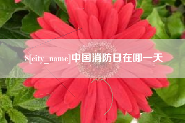 锡林郭勒盟中国消防日在哪一天