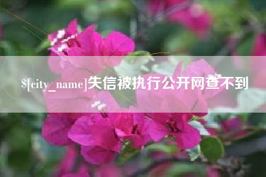锡林郭勒盟失信被执行公开网查不到