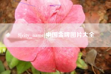 锡林郭勒盟中国金牌图片大全