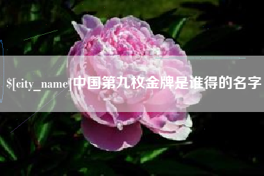锡林郭勒盟中国第九枚金牌是谁得的名字