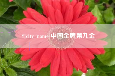 锡林郭勒盟中国金牌第九金