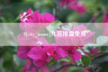 锡林郭勒盟九宫排盘免费