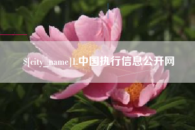 锡林郭勒盟1.中国执行信息公开网