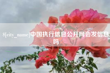 锡林郭勒盟中国执行信息公开网会发信息吗