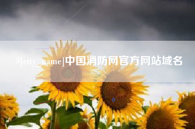 锡林郭勒盟中国消防网官方网站域名