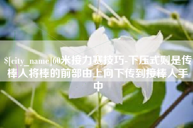 锡林郭勒盟60米接力赛技巧-下压式则是传棒人将棒的前部由上向下传到接棒人手中