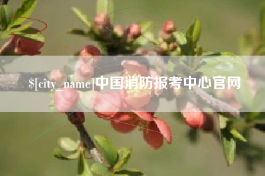 锡林郭勒盟中国消防报考中心官网