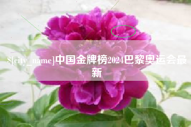 锡林郭勒盟中国金牌榜2024巴黎奥运会最新