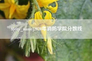 锡林郭勒盟2020年消防学院分数线