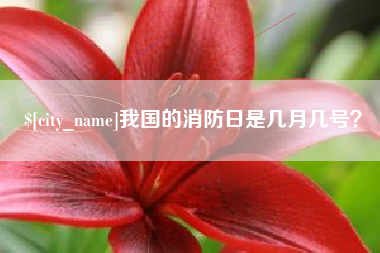 锡林郭勒盟我国的消防日是几月几号？