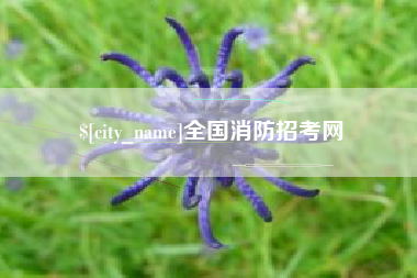 锡林郭勒盟全国消防招考网