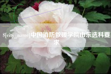 锡林郭勒盟中国消防救援学院山东选科要求