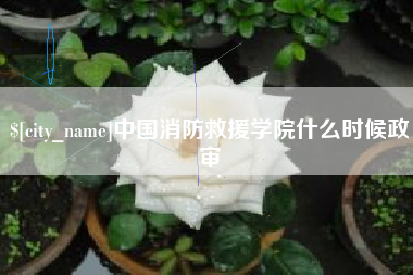 锡林郭勒盟中国消防救援学院什么时候政审