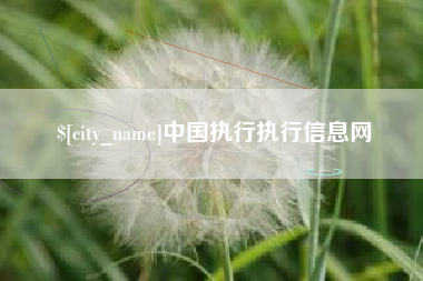 锡林郭勒盟中国执行执行信息网