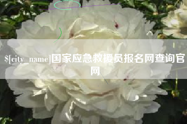 锡林郭勒盟国家应急救援员报名网查询官网