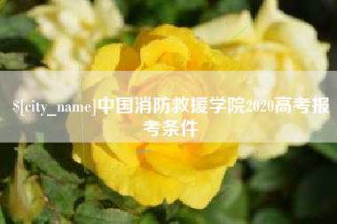 锡林郭勒盟中国消防救援学院2020高考报考条件