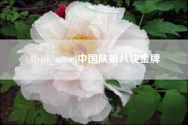 锡林郭勒盟中国队第八块金牌