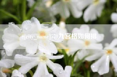锡林郭勒盟579九宫格如何排