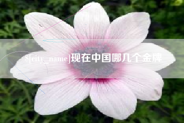 锡林郭勒盟现在中国哪几个金牌