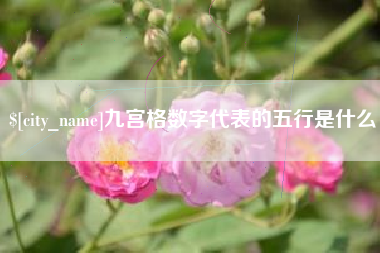 锡林郭勒盟九宫格数字代表的五行是什么