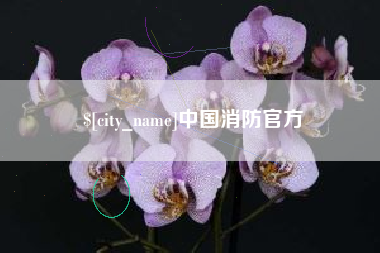 锡林郭勒盟中国消防官方