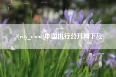 锡林郭勒盟中国执行公开网下载