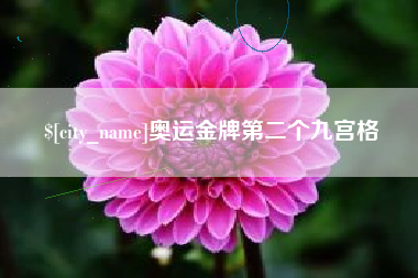 锡林郭勒盟奥运金牌第二个九宫格