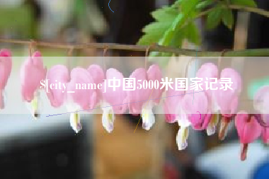 锡林郭勒盟中国5000米国家记录