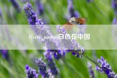 锡林郭勒盟白色在中国