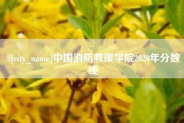 锡林郭勒盟中国消防救援学院2020年分数线