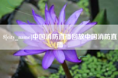 锡林郭勒盟中国消防直播回放中国消防直播