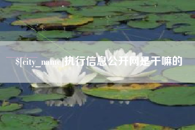 锡林郭勒盟执行信息公开网是干嘛的