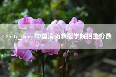 锡林郭勒盟中国消防救援学院招生分数