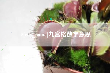 锡林郭勒盟九宫格数字意思