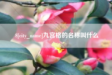 锡林郭勒盟九宫格的名称叫什么