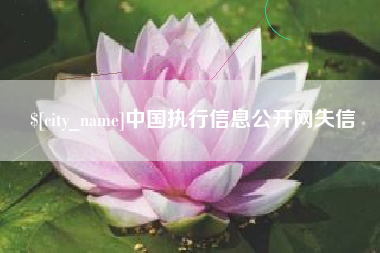 锡林郭勒盟中国执行信息公开网失信