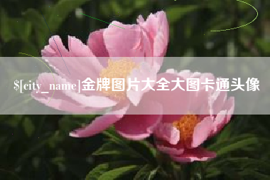 锡林郭勒盟金牌图片大全大图卡通头像