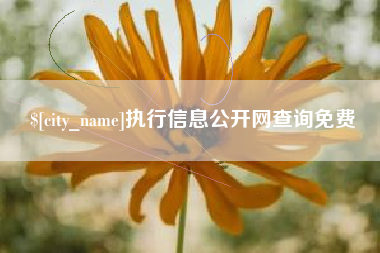锡林郭勒盟执行信息公开网查询免费